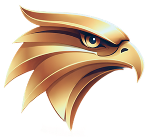 Falcon Casino